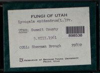 Image Associated With the Occurence